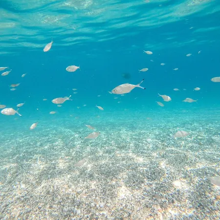 Complejo Turistico Bayiyos * Agua Amarga (Almeria)
